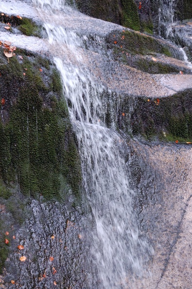 DSC_4941_00001.jpg