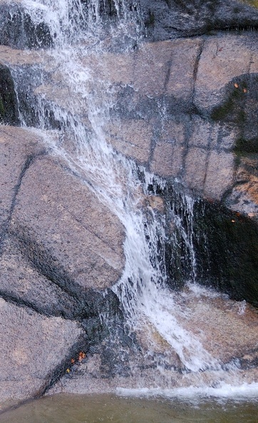 DSC_4946_00001.jpg