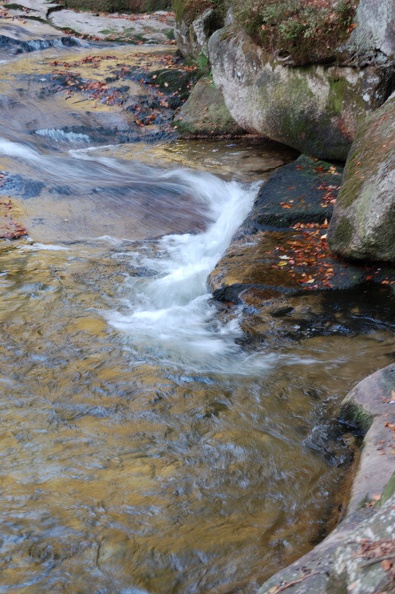 DSC_4950_00001.jpg