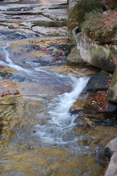 DSC_4951_00001.jpg