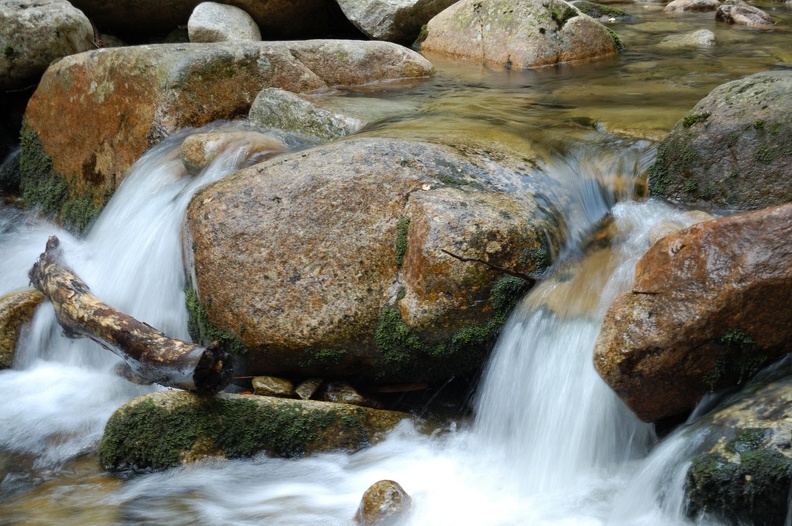 DSC_4964_00001.jpg