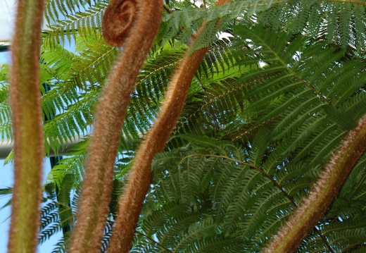 Botanická zahrada Liberec
