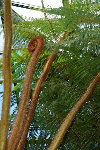 DSC_5018_00001.jpg