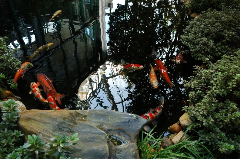 DSC_5025_00001.jpg