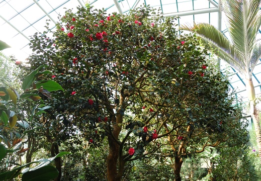 Botanická zahrada Liberec