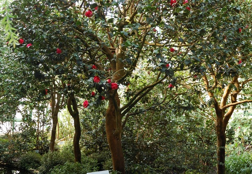 Botanická zahrada Liberec