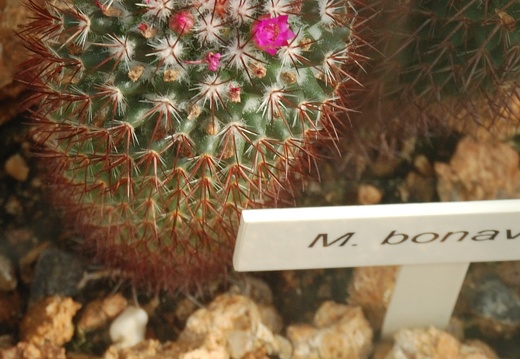 Botanická zahrada Liberec
