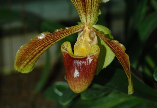 Botanická zahrada Liberec
