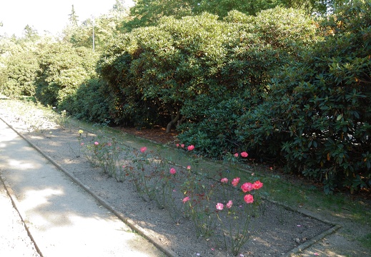 Botanická zahrada Liberec