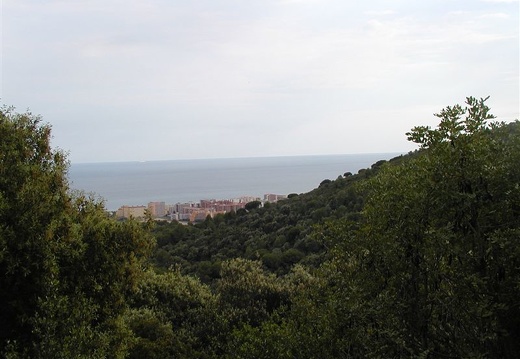 P9130032