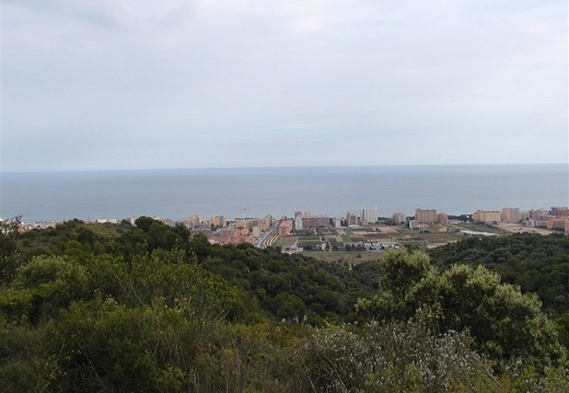 P9130033
