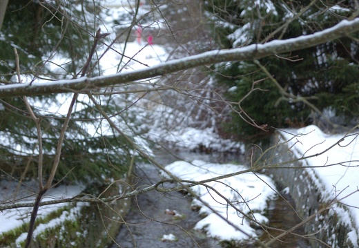 DSC 5400 00001