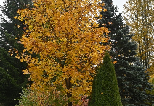 DSC 0193