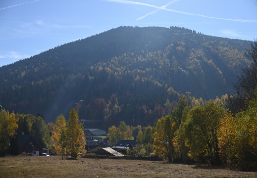 DSC 0219