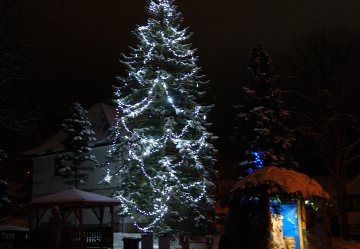 DSC 5416 00001