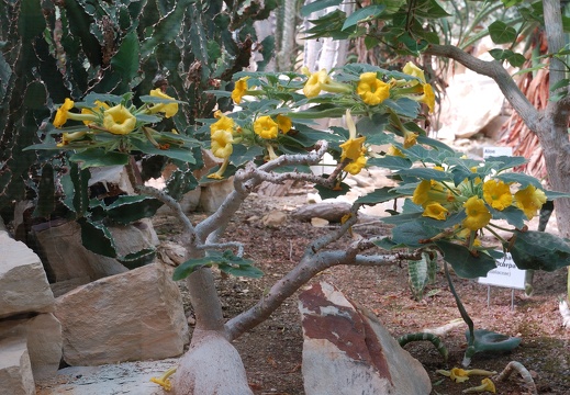 DSC 5831 00001