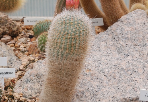 Botanická zahrada Liberec