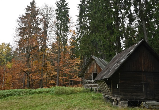 DSC 0288