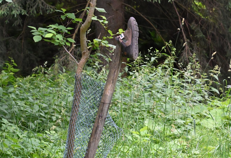 DSC_2067.JPG