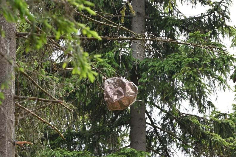 DSC_2192.JPG