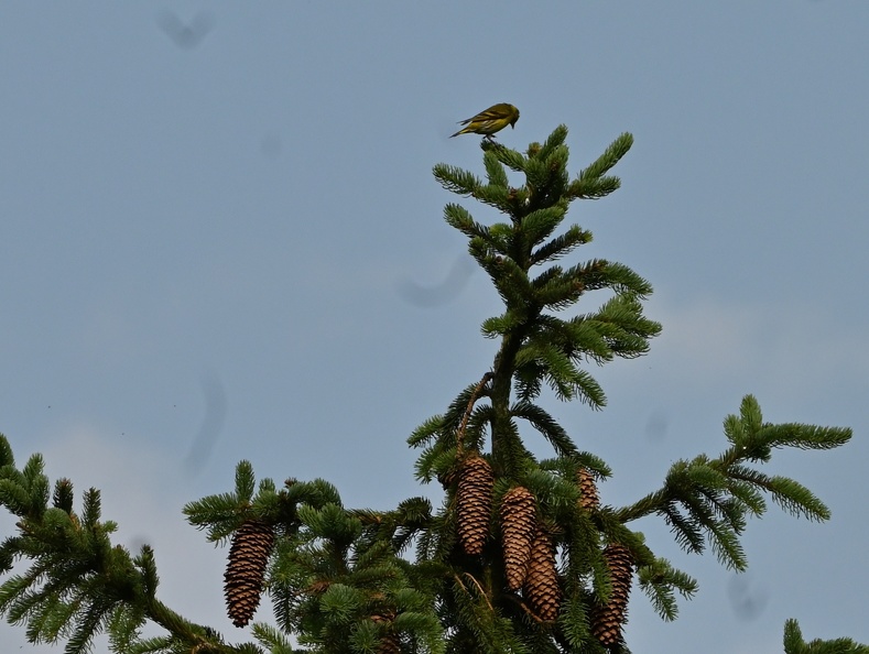 DSC_2282.JPG