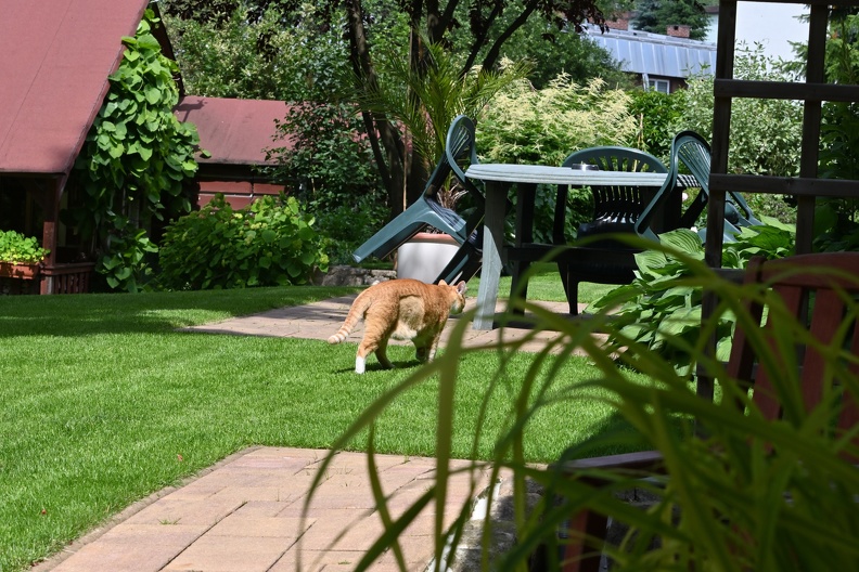 DSC_2306.JPG