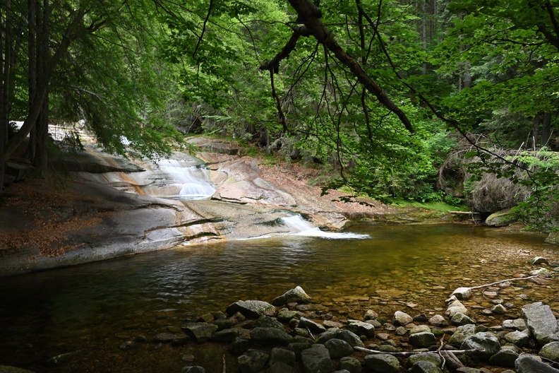 DSC_2333.JPG