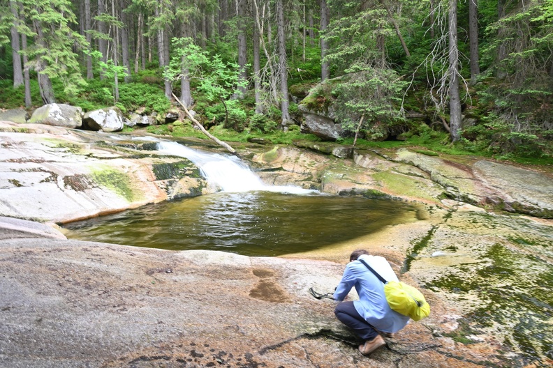DSC_2337.JPG