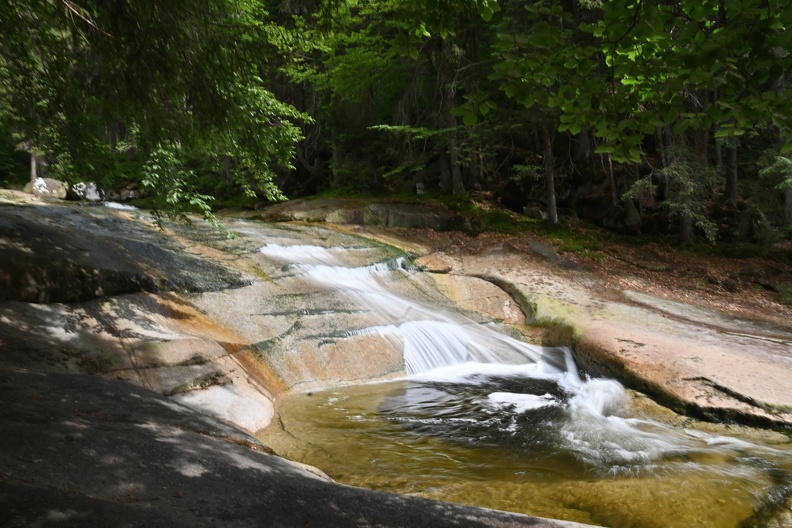 DSC_2343.JPG