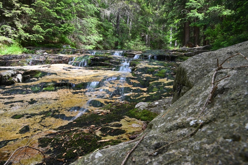 DSC_2438.JPG