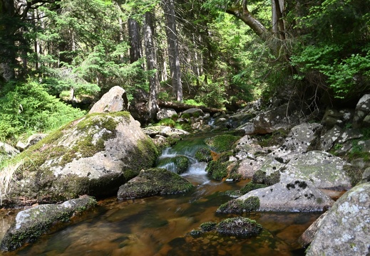 Kamnice a Shnilý ručej