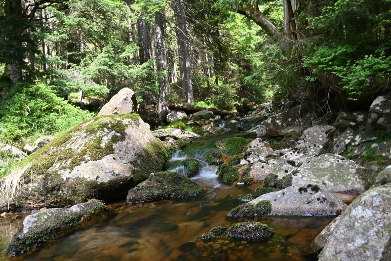 DSC_2469.JPG