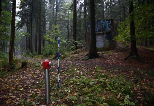 Požární hydrant v lese