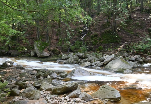 DSC 7280