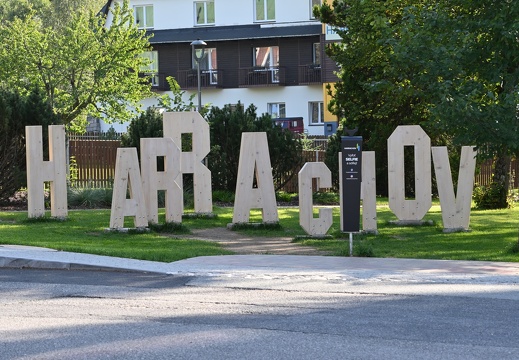DSC 7545